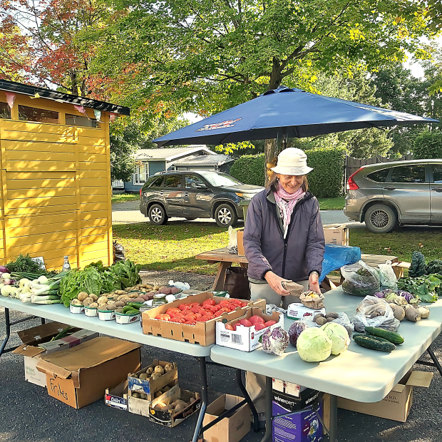 Un marché toujours populaire