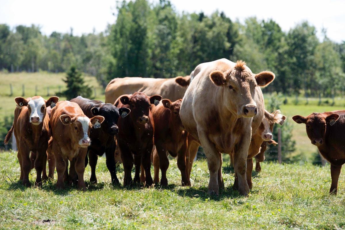 La Financière agricole verse les compensations de l’ASRA