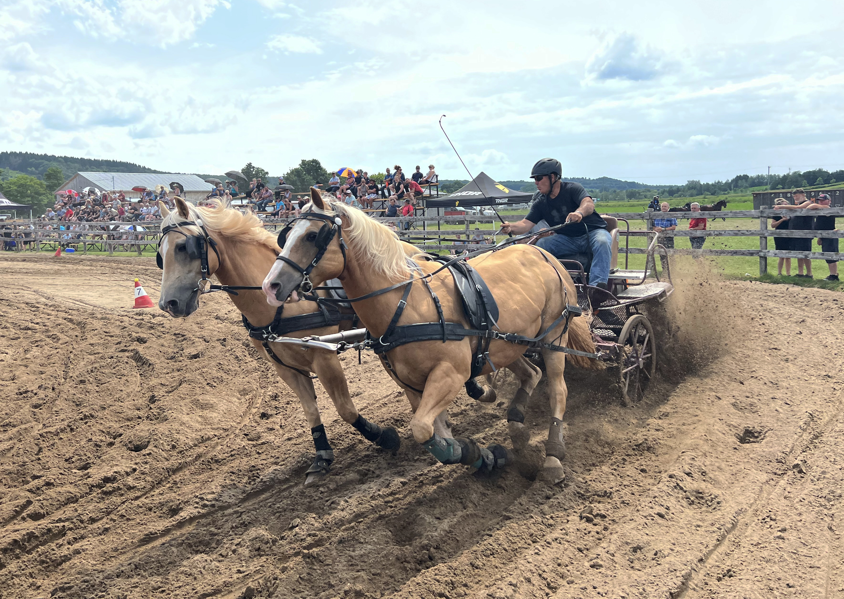 Plusieurs nouveautés au Festival à la grange de Saint-Patrice