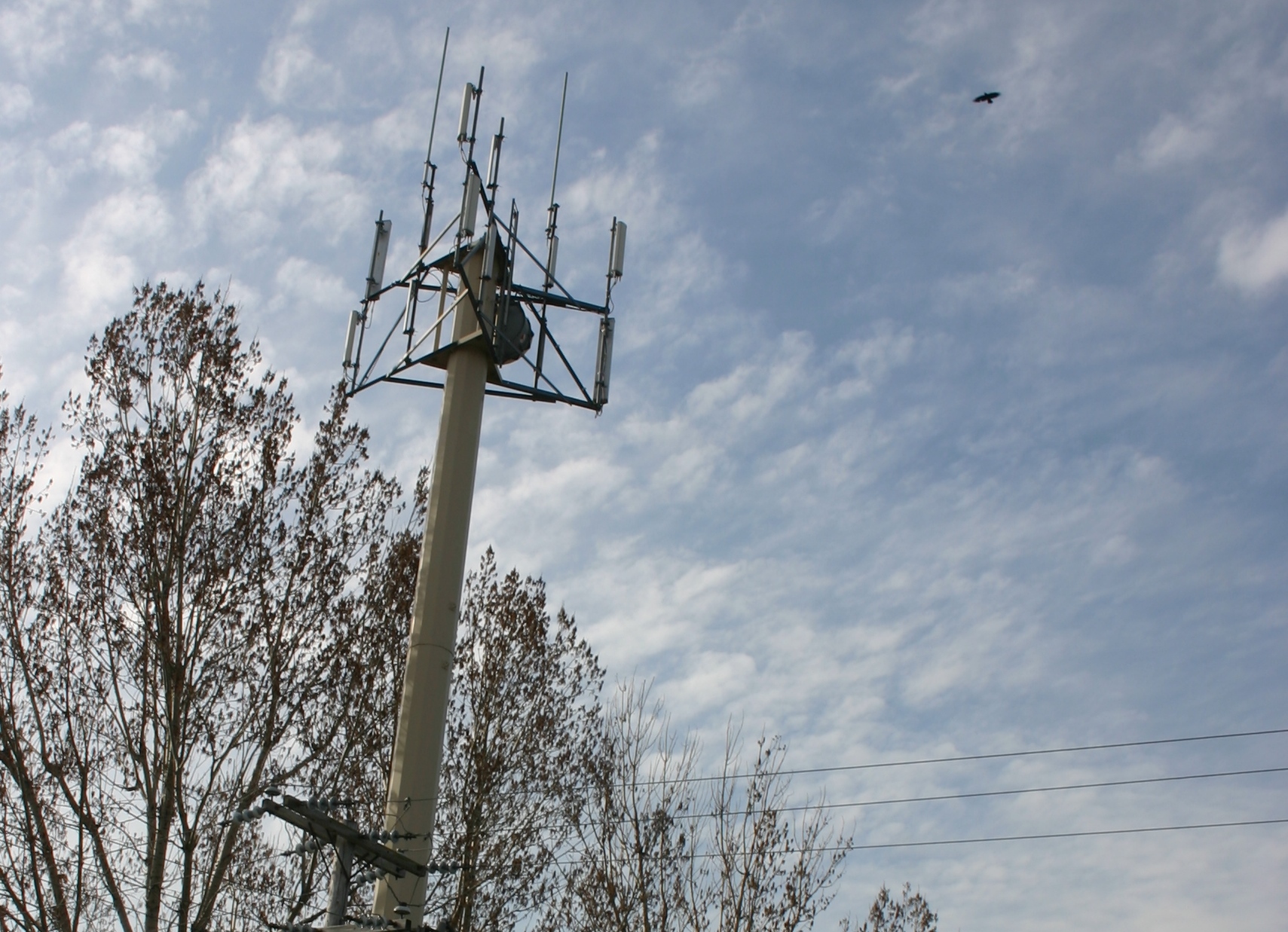 La couverture cellulaire sera améliorée dans deux municipalités