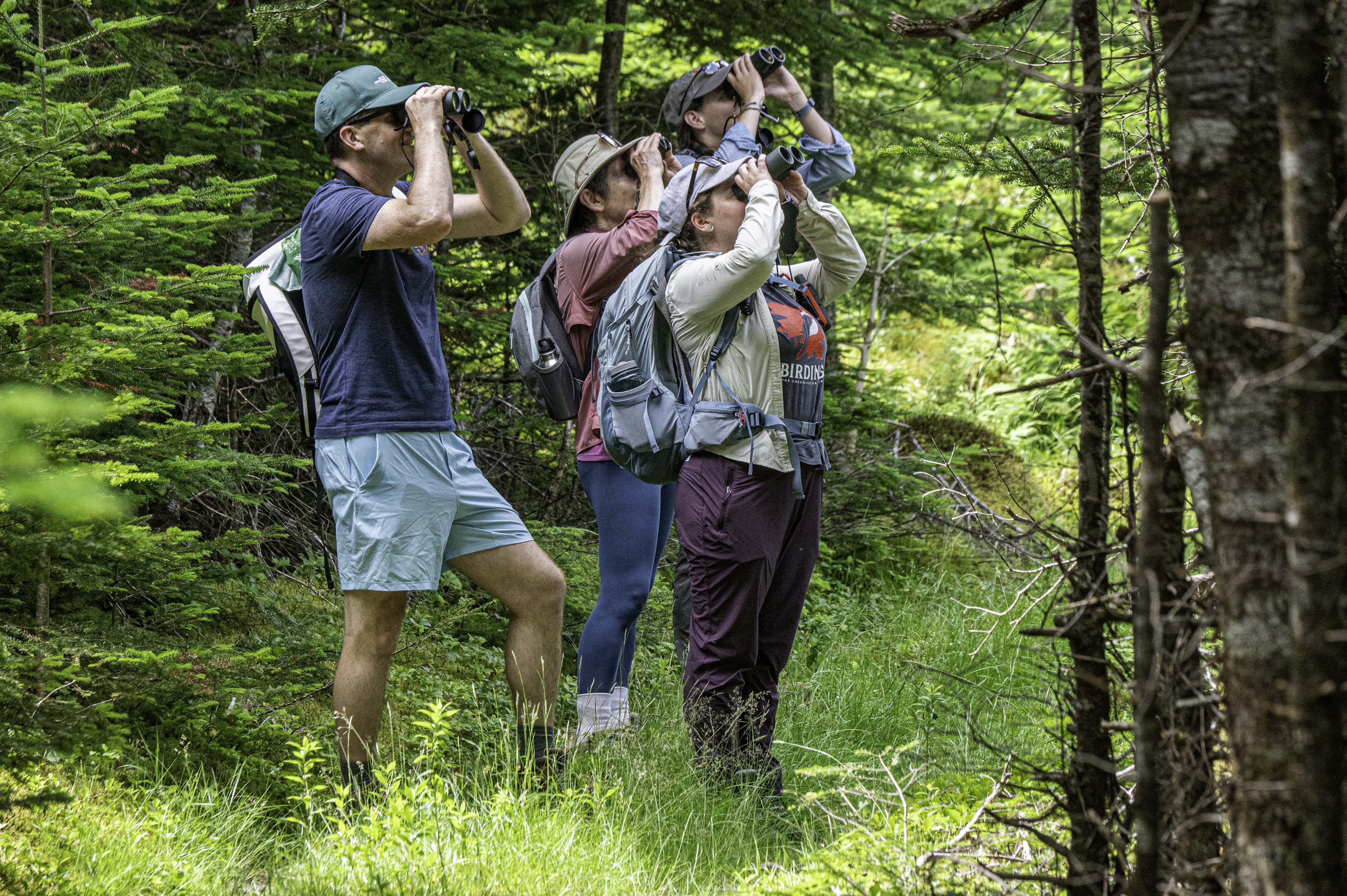 Conservation de la nature Canada tiendra le Grand Bioblitz