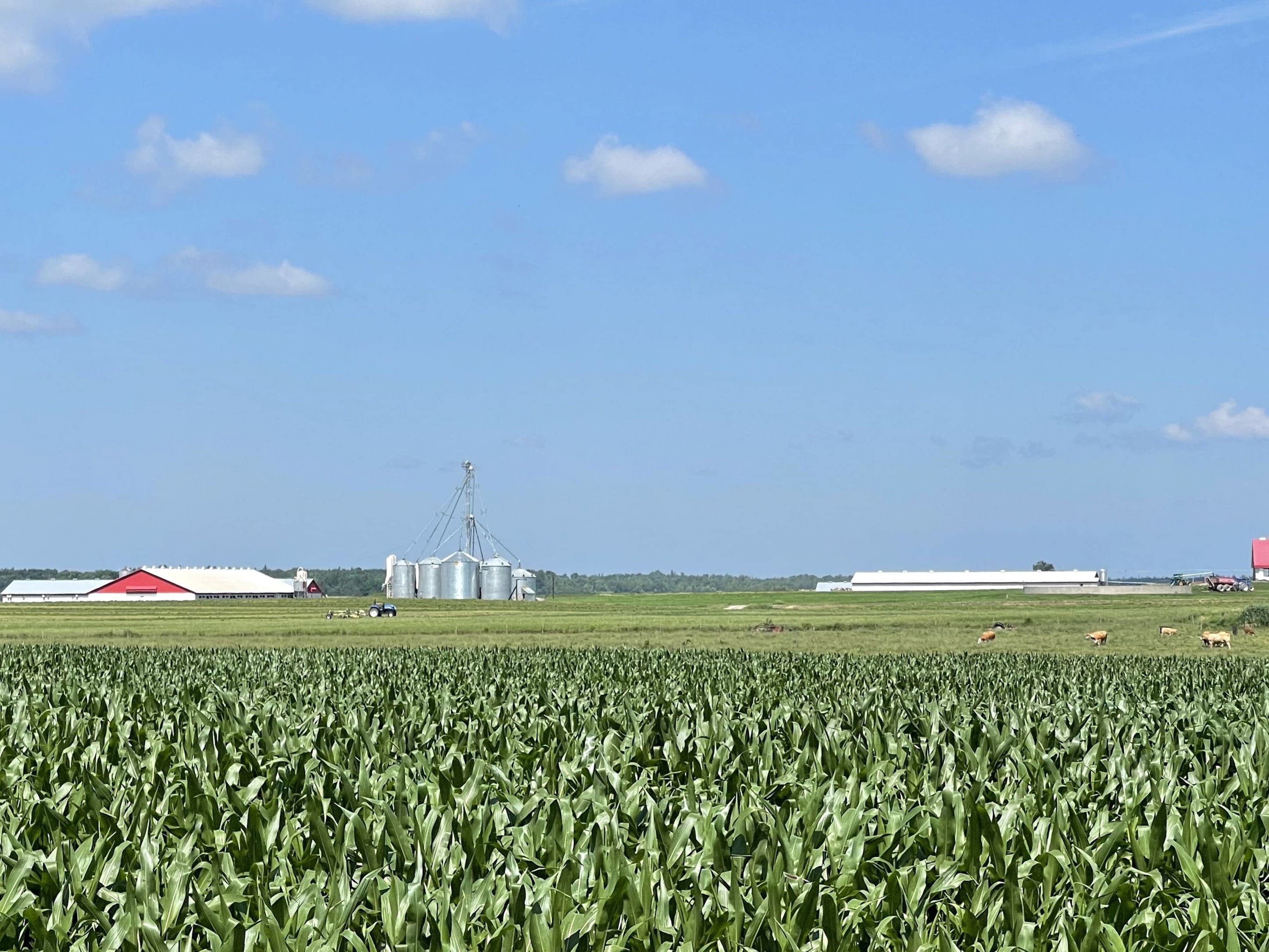 Un projet de loi pour protéger les terres agricoles