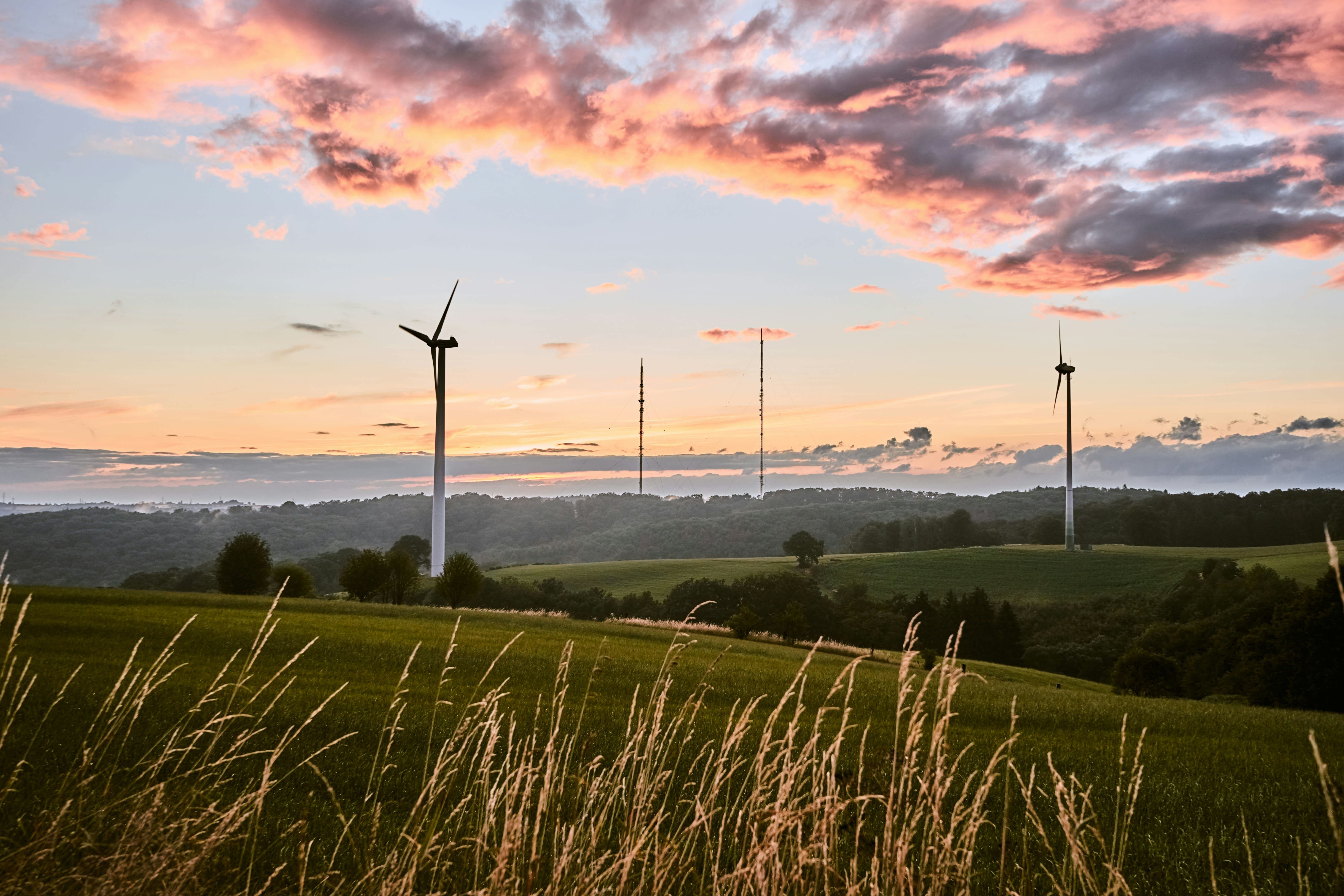 Énergies vertes : les chiffres de 2024